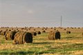 Lauksaimniecības zemei Latgalē šogad augs cenas