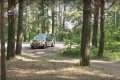 Pilsētas meži nav domāti automašīnām (video)