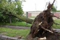 Uz ceļa Ķekava-Skaistkalne triju kilometru posmā negaisa laikā sagāzušies 60 koki