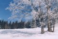 "AccuWeather": Skandināvijā gaidāma barga ziema, aukstums skars arī Baltijas valstis