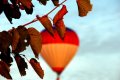 Strauji piezemējoties gaisa balonam, Rēzeknes novadā cieš Vācijas pilsonis