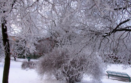 Jaunais šīs ziemas aukstuma rekords -22,5 grādi Dobeles novadā