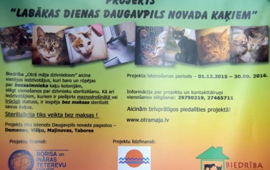 Projekts "Labākas dienas Daugavpils novada kaķiem"