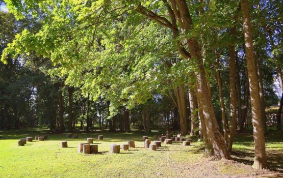 Vaboles parkā tiks stādīti koki Latvijas simtgadei