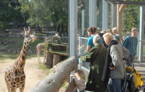 Dzīvnieku dienas 2016 Rīgas Zooloģiskajā dārzā