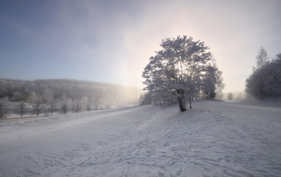 Latvijā saglabājas sals līdz -17 grādiem; naktī kļūs nedaudz aukstāks