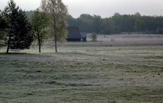 Deviņās naktīs vasaras pirmajā pusē Latvijā reģistrēta salna