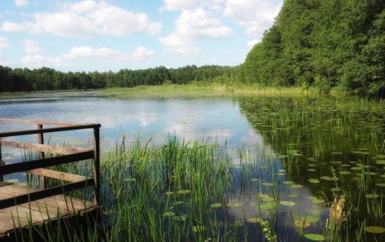 Ūdens temperatūra peldvietās tuvu +20 grādiem