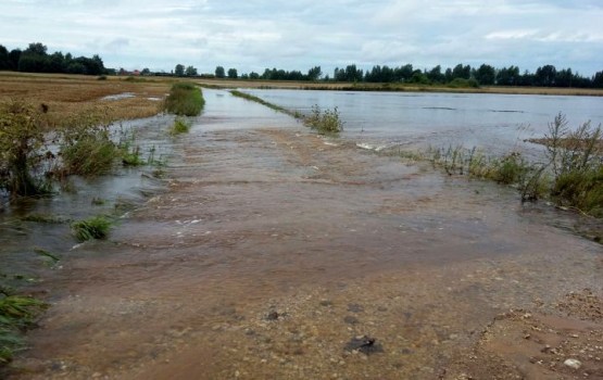 Latgales upēs saglabājas augsts ūdens līmenis, vietām tas turpina kāpt