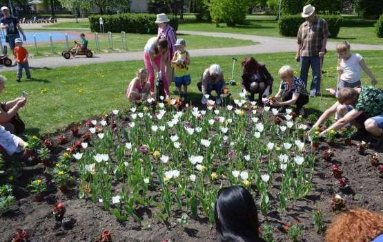 Biedrība "Asmu Latgalīts” Daugavpils iedzīvotājus iesaistīja  akcijā „Iestādi puķi savai mammai!”