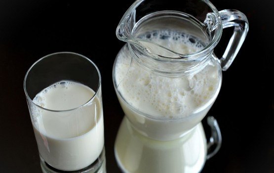 Latvijā nodotā piena apmērs augustā sarucis par 9,9%