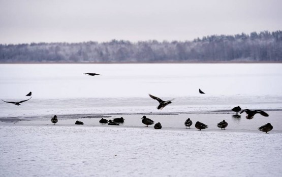 Daugavpilī aizliegts atrasties uz ūdenstilpju ledus