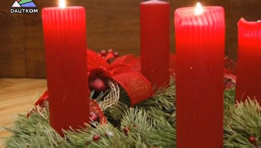 Daugavpils pilsētas domē parādījās egle (video)
