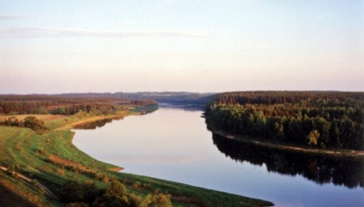 Neatļauta koku ciršana Daugavas lokos