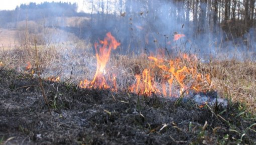 Aktivizējušies kūlas dedzinātāji Latgalē