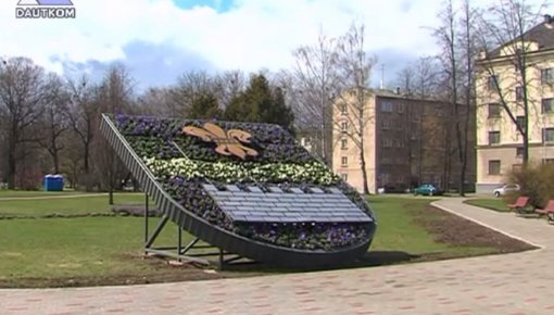 Daugavpilī uzstādīja pilsētas ģērboni no ziediem (video)