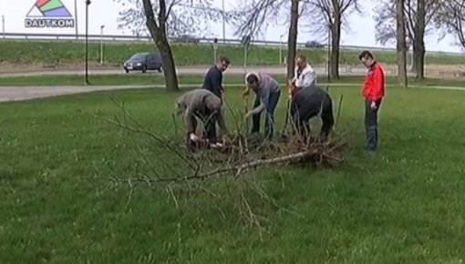 Latgales partijas biedri iestādīja kokus (video)