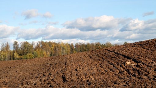 Zemes fonds – lauksaimnieku gaidīts, bet radikālas pārmaiņas tirgū nenesīs