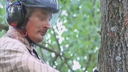 Arboristi - kas tie tādi un ar ko nodarbojas? (video)