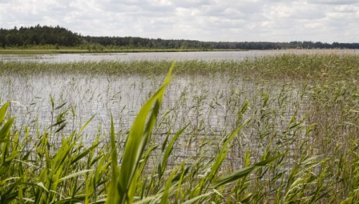 Višķu pagastā no Luknas ezera izceltas noslīkuša vīrieša mirstīgās atliekas