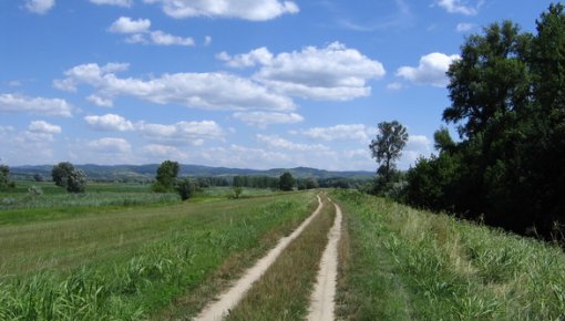 Sestdien kļūs vēl par grādu siltāks