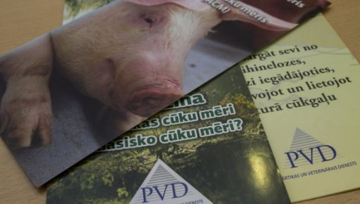 PVD atklāj Āfrikas cūku mēri mājas cūkām Sēļu pagastā