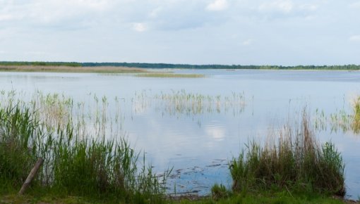 Daugavpils novadā noslīkst vīrietis