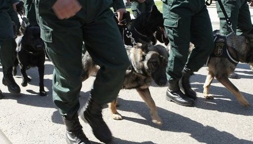 Augustā Latvijā iekļuvušas divas nelegālo imigrantu grupas