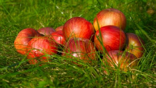 Piektdien nokrišņi nav gaidāmi; pūtīs lēns vējš