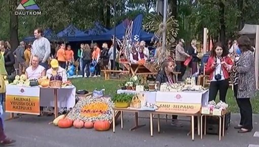 Daugavpils novada dienu ietvaros notika krāšņs gadatirgus (video)