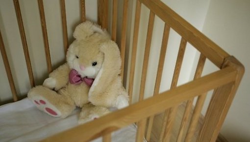 Rīgā aiztur bērnu pornogrāfijas, nekrofīlijas un zoofīlijas failu kolekcionāru