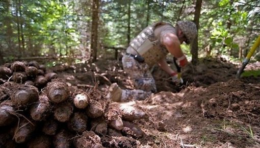 Latvijā sestdien sāksies militārās mācības "Detonators"