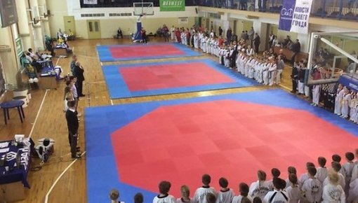 Eiropas taekvondo čempionātā junioriem Daugavpilī Latviju pārstāvēs deviņi sportisti