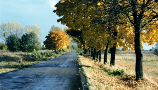 Autobraucēju uzmanībai: aicinām izvēlēties laika apstākļiem piemērotu braukšanas ātrumu un manieri