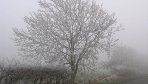 Latvijā iestājusies meteoroloģiskā ziema