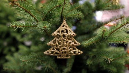 Ģimenes diena – 20.decembrī