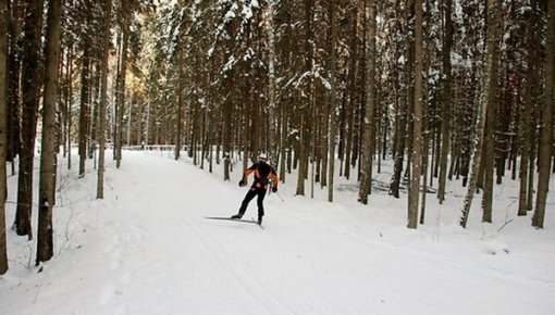 Jaungada brīvdienas būs aukstas