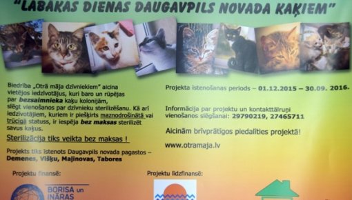 Projekts "Labākas dienas Daugavpils novada kaķiem"