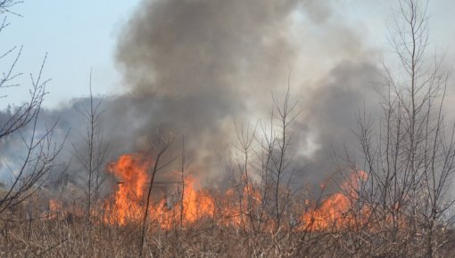 Kūlas dedzināšana ir aizliegta