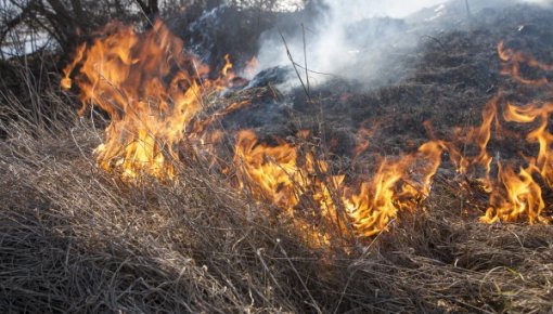 Kopš gada sākuma reģistrēti teju 300 kūlas ugunsgrēki