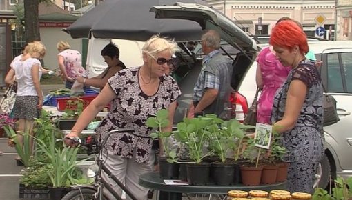 Sezonu atsāk Zemnieku vakara tirdziņš