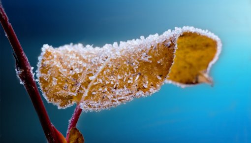 Pirmo reizi šoruden gaisa temperatūra noslīdējusi zem -6 grādiem