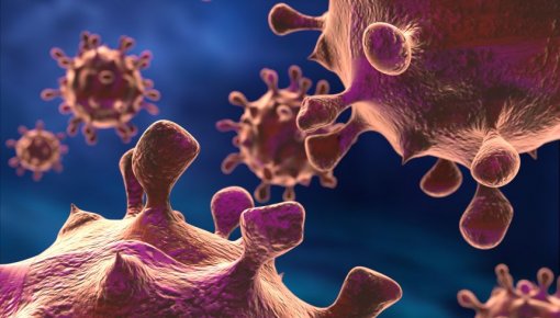 PVD uzņēmuma "Biovela" ražotā desā konstatē bīstamo E. Coli baktēriju