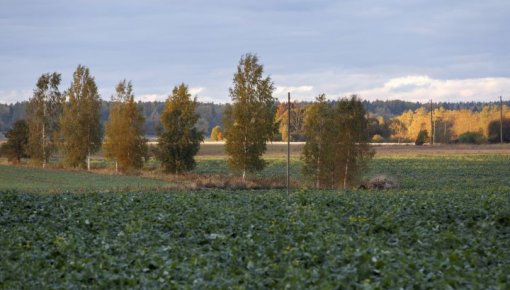 Lauksaimniekiem valsts subsīdijās šogad būs pieejami 8,7 miljoni eiro