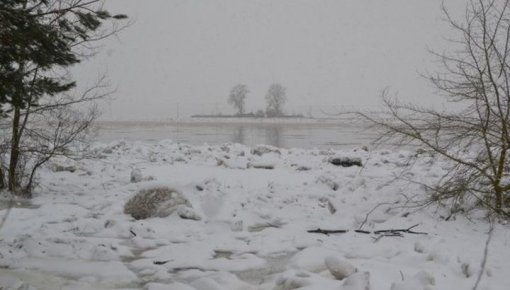 Ūdens līmenis Daugavā nav krasi mainījies