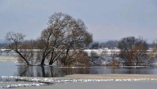 Daugavā strauji cēlies ūdens līmenis Jēkabpils, Līvānu un Krustpils novadā un Jēkabpilī