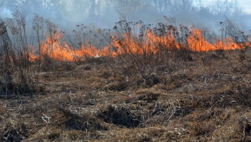 Piektdien Latvijā dzēsts 91 kūlas ugunsgrēks