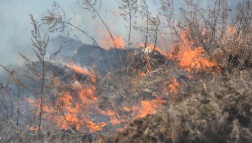 Daugavpilī kūla degusi vairāk kā 30 hektāru platībā