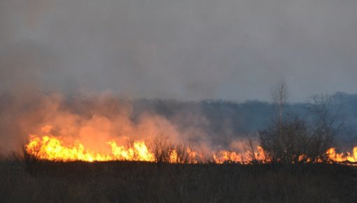 Vakar atkal krietni pieaudzis kūlas ugunsgrēku skaits