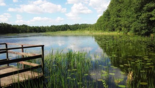Ūdens temperatūra peldvietās tuvu +20 grādiem